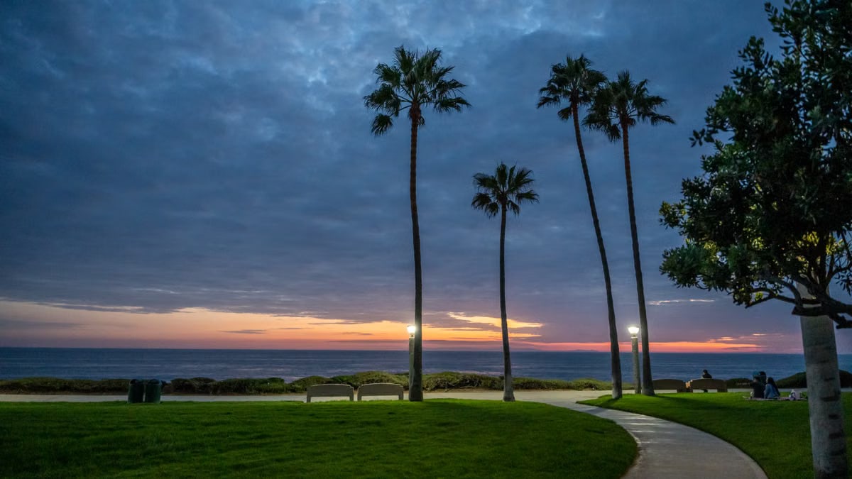Breathtaking sunset view with palm trees and benches at Dana Point park in California.